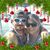 Scott Goad's profile image