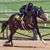 Tracey Marie Brown's profile image