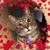 Erica Bins-Pentecost's profile image