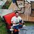 Johnny Morris's profile image