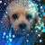 Jacqueline Foley-Bowen's profile image