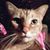 Larita Snyder's profile image