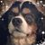 Karen Roberts's profile image