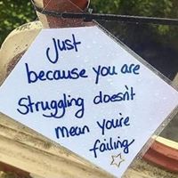 Jennifer Krimpelman Foster's profile image