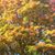 Heather Ann Raetz's profile image