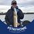 Andrew Harrington's profile image