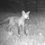 Michelle Rae Miller's profile image