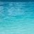 Violeta Kiraly's profile image