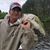 Bill Arensberg's profile image
