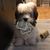 Rich David's profile image