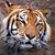 Trudi Martin's profile image