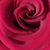 Amanda Kreft's profile image