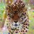 Shereen Zee's profile image