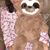 Lindsey Hinton's profile image