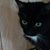 Anita Harris's profile image