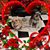 Maritza Hidalgo's profile image