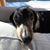 Fred Bock's profile image