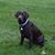Kevin Ernst's profile image