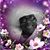 Stephanie Whitehurst's profile image