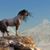 Katie Manetti's profile image