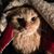 Melodee Seiz's profile image