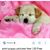 Dinamita Sales's profile image