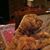 Ellis Eshelman's profile image