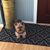 Nancy Woronka-Alders's profile image
