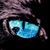 Jay Buinicky's profile image