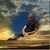 Kevin Swogger's profile image