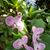 Heather Groeger's profile image