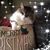 Nancy Wagner's profile image