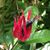Joana Call's profile image