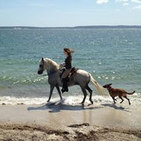 Gillian Riggs's profile image