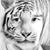 Stephanie McCarty's profile image