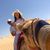 Sara Heggland's profile image