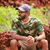 Eshan L. Anandappa's profile image