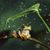 Susan Tomlinson Lippert's profile image