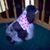 Keith Delcour's profile image