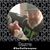 Kevin Bond's profile image