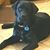 Audra Hardy Rech's profile image