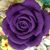 Vickie Shackelford's profile image