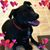 Janet Berns Vazquez's profile image
