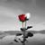 Kim Prather's profile image