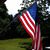 Mary Koehler's profile image