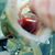 Shara Lee Mintonye's profile image