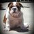 Regina Williams Agnew's profile image