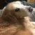Megan R. Nelson's profile image