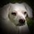 Twila Mae Walker Johnson's profile image