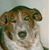 Leesa Pizzano's profile image